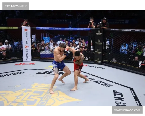 mma赛事组织排名