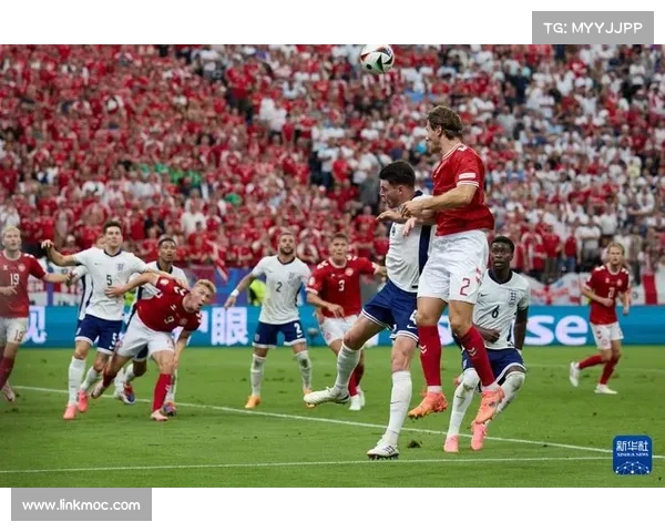 丹麦队最近赛事 丹麦队情况