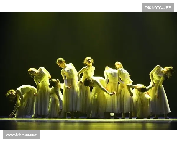 广东省舞蹈大赛女子群舞